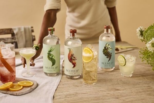 Seedlip which is now a trailblazer in the nonalcoholic spirits space creating booze-free botanical beverages