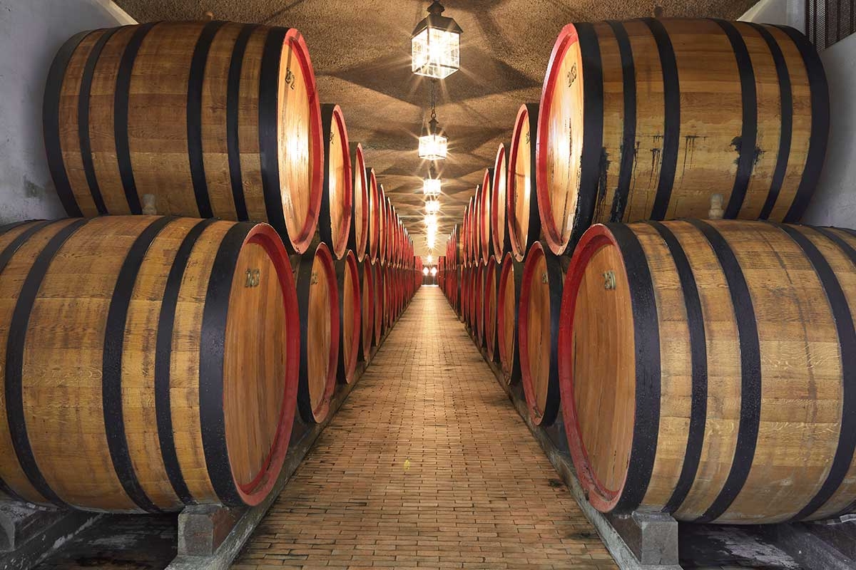 Slavonian oak casks at Bassano Del Grappa Distillery