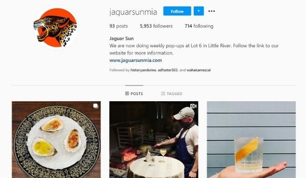 Jaguar Sun Miami Instagram