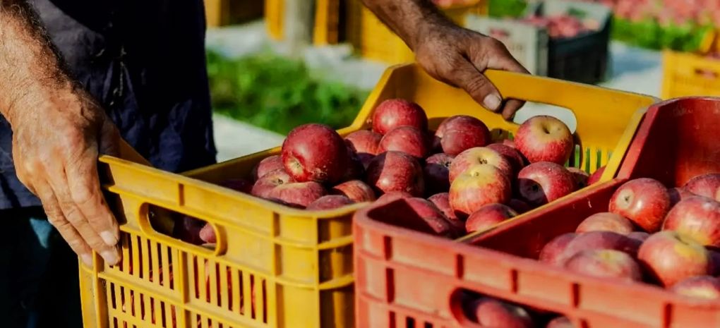 Photo for: Urka Spirits: The Boutique Italian Brand Turning an Ancient Apple into a Modern Signature