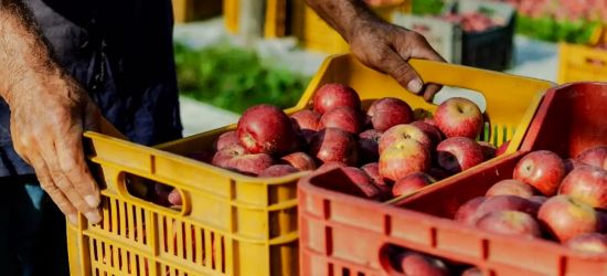 Photo for: Urka Spirits: The Boutique Italian Brand Turning an Ancient Apple into a Modern Signature