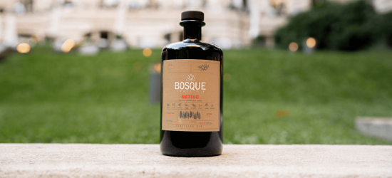Photo for: Bosque Nativo Gin Takes Top Honours at the 2025 BSA—What Comes Next?