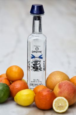 Logo for: Embajador Tequila Platinum Blanco