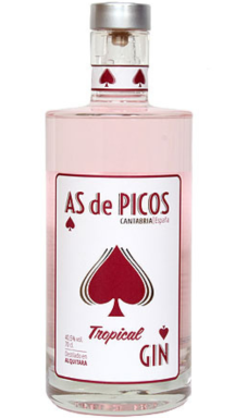 Logo for: Gin Tropical